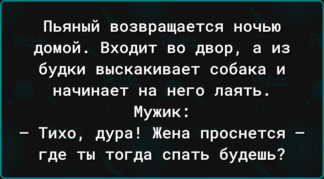 Пьяный возвращается ночью домой Входит во двор а из будки выскакивает собака и начинает на него лаять Мужик Тихо дУра Жена проснется где ты тогда спать будешь