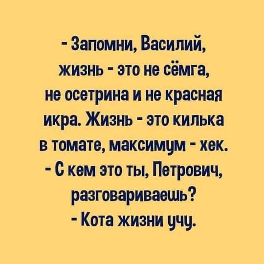 Запомни Василий жизнь это на сёмга не осетрина и не красная икра Жизнь это кипька в томате максимчм хак с кем это ты Петрович разговариваешь Кота жизни цчц