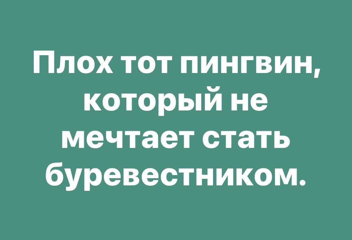 Плох тот пингвин который не мечтает стать буревестником