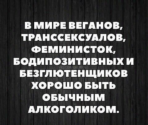 В МИРЕ ВЕГАНОВ ТРАНССЕКСУАЛОВ ФЕМИНИСТОК БОдИПОЗИТИВНЫХ И БЕЗГЛЮТЕНЩИКОВ ХОРОШО БЫТЬ ОБЫЧНЫМ АЛКОГОЛИКОМ