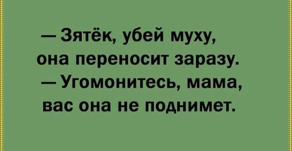 Зятёк убей муху она переносит заразу Угомонитесь мама вас она не поднимет