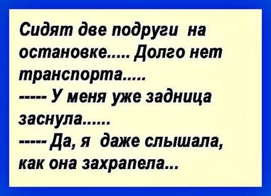 Сидят две подруги на остановке долго нет транспорта У меня уже задница заснула да я даже слышала как она захрапела