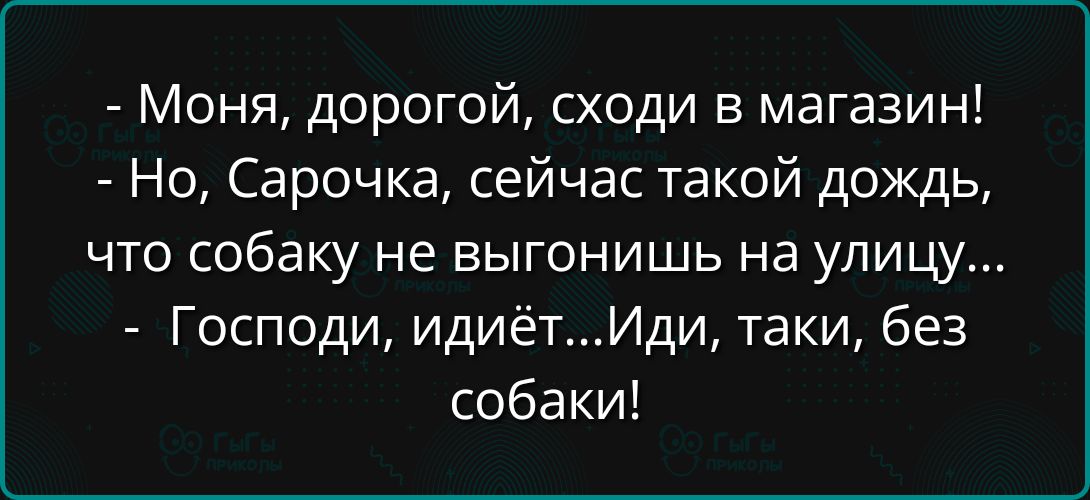 Моня дорогой сходи в магазин Но Сарочка сейчас такой дождь что собаку не выгонишь на улицу Господи идиётИди таки без собаки