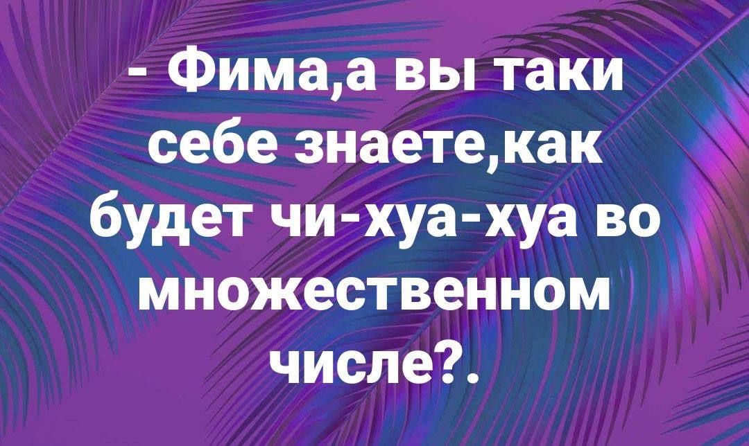 - Фима, а вы таки себе знаете, как будет чи-хуа-ха во множественном числе?.