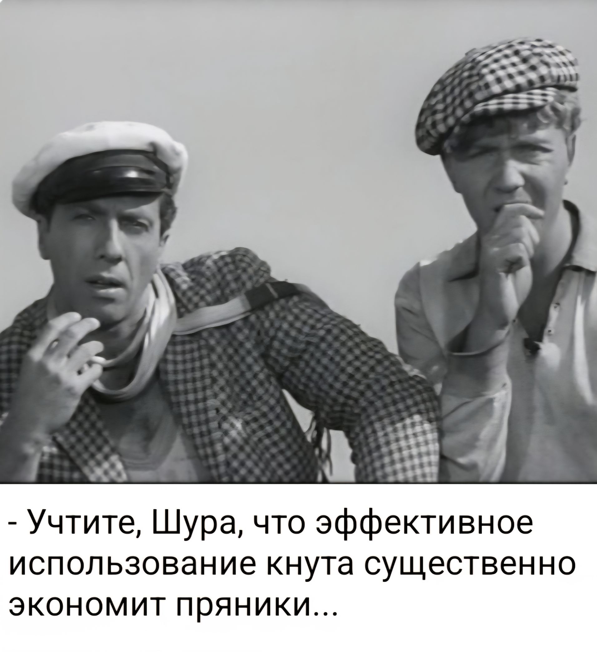 - Учтите, Шура, что эффективное использование кнута существенно экономит пряники...