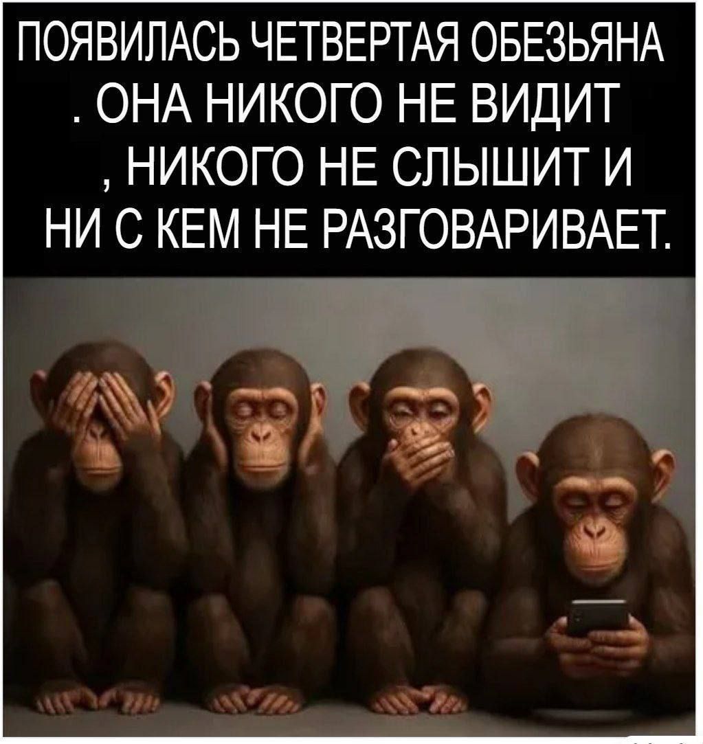 Появилась четвертая обезьяна. Она никого не видит, никого не слышит и ни с кем не разговаривает.