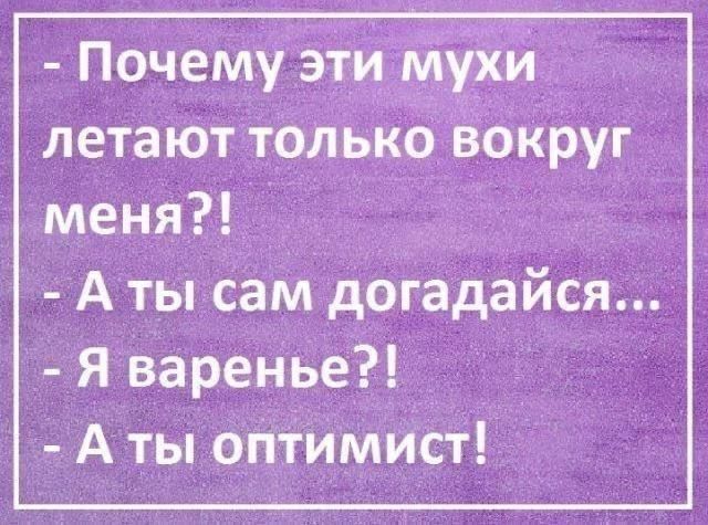 Почему эти мухи летают только вокруг меня?! А ты сам догадайся... Я варенье?! А ты оптимист!