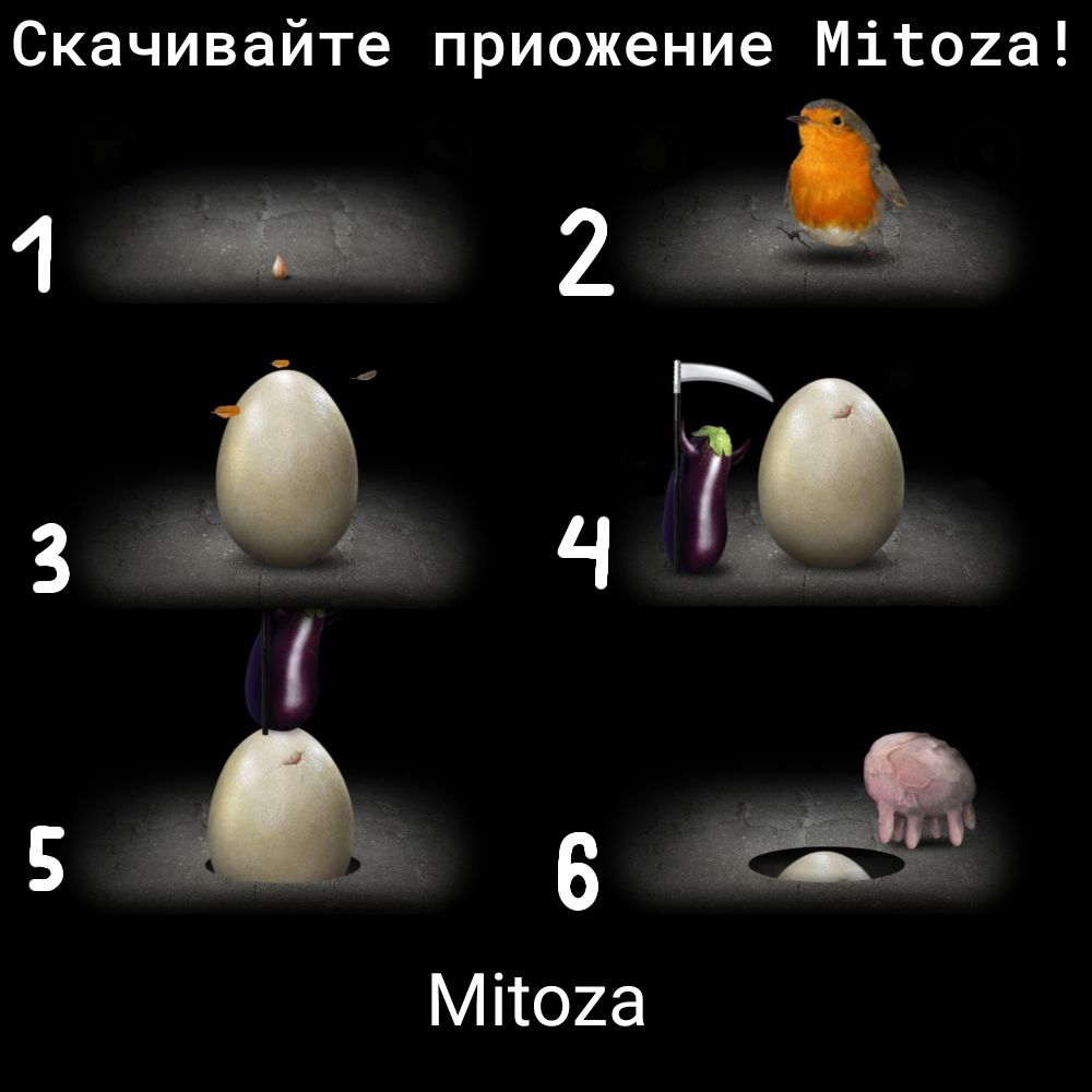 Скачивайте приожение Міто2а 1 2 г А да Мітоиа
