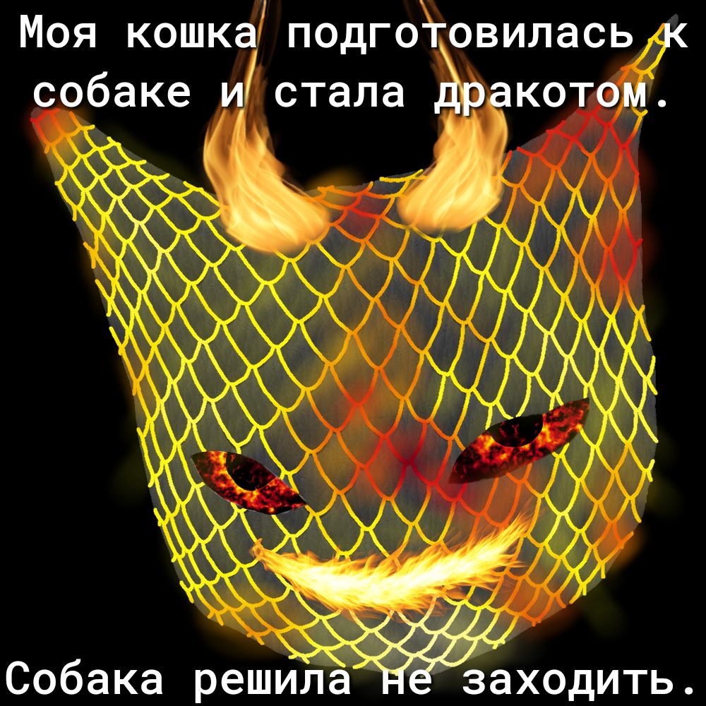 Моя кошка подгоовилась собаке и стала мкото