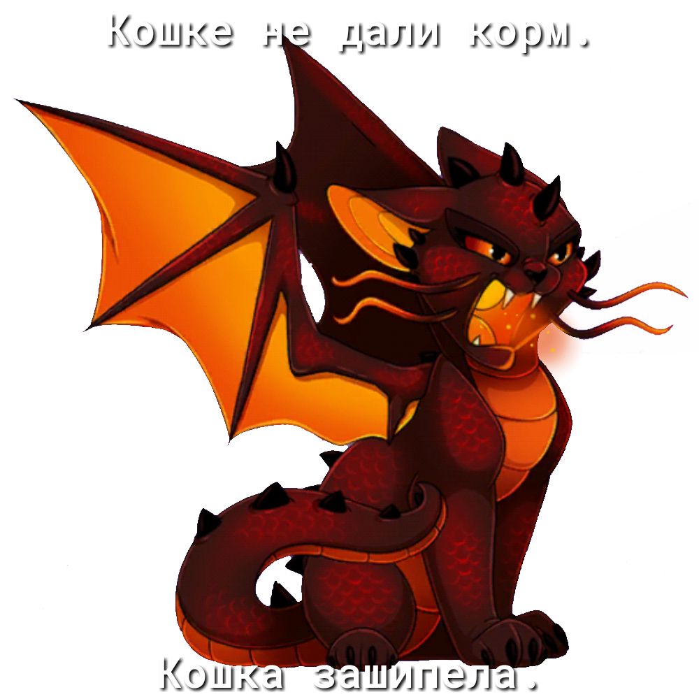 Кэш дали корм КФШК