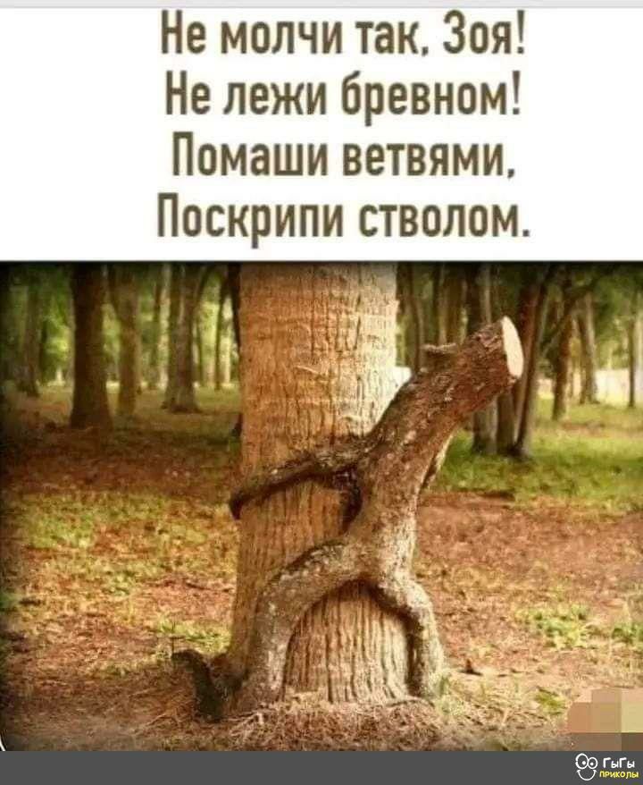 Не молчи так Зоя Не лежи бревном Помаши ветвями Поскрипи стволом