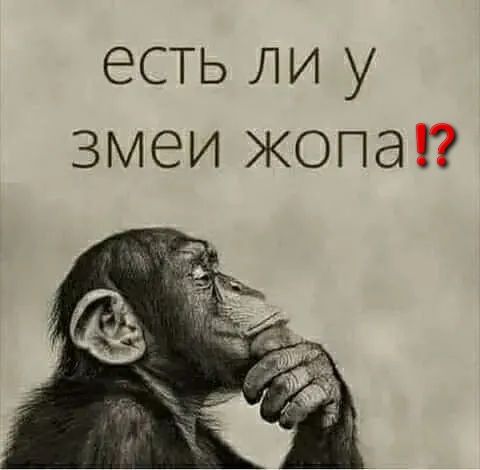 есть ли у змеи жопап