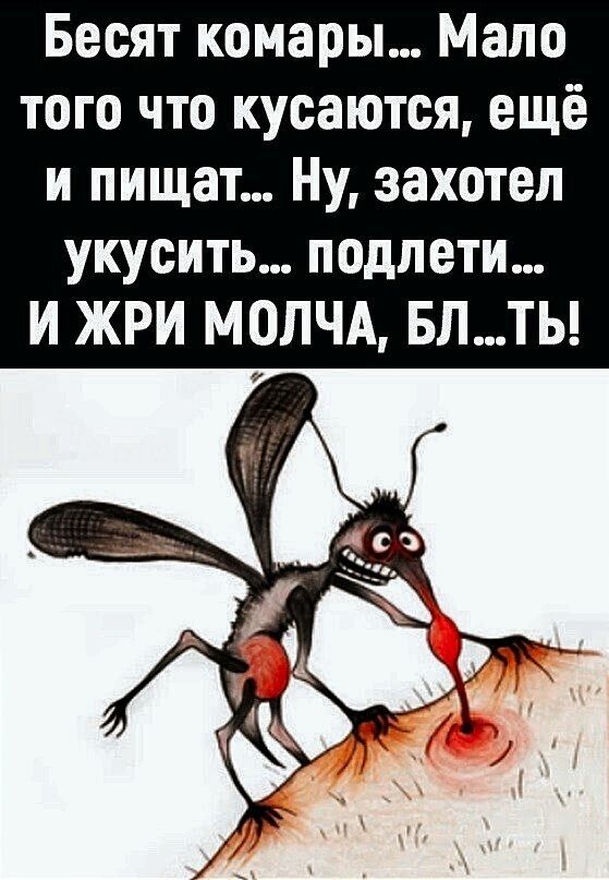 Бесят комары Мало того что кусаются ещё и пищат Ну захотел укусить подпети И ЖРИ МОЛЧА БЛТЬ