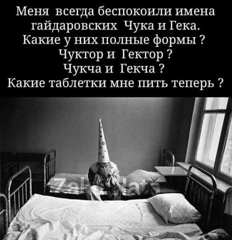 Меня всегда беспокоили имена гайдаровских Чука и Гека Какие у них полные формы Чуктор и Гектор Чукча и Гекча Какие таблетки мне пить теперь