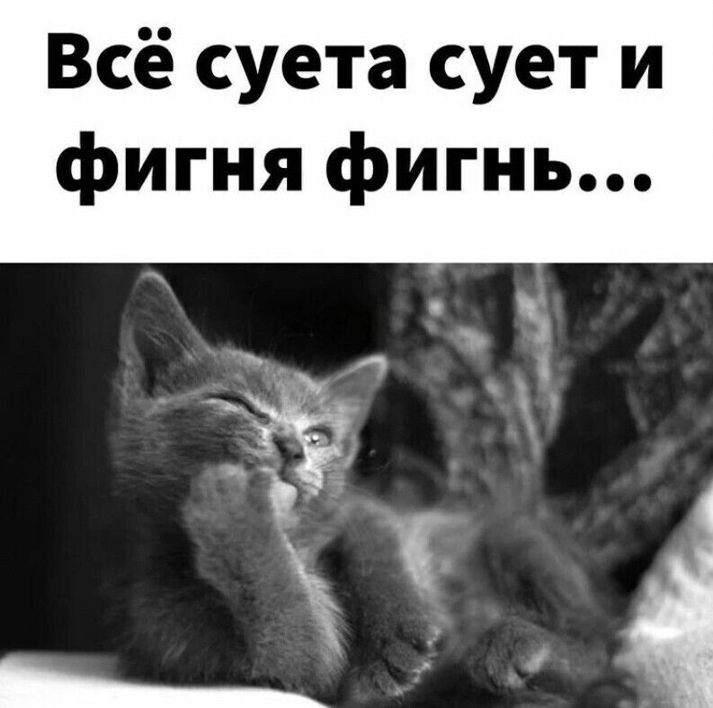 Всё суета сует и фигня фигнь 4