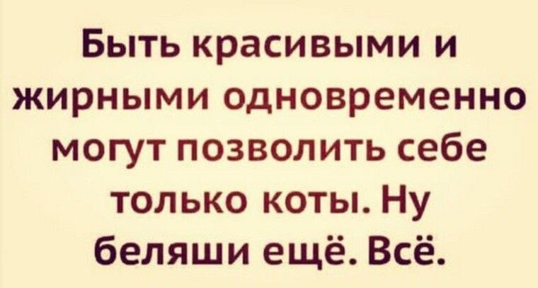 Быть красивыми и жирными одновременно могут позволить себе только коты Ну беляши ещё Всё