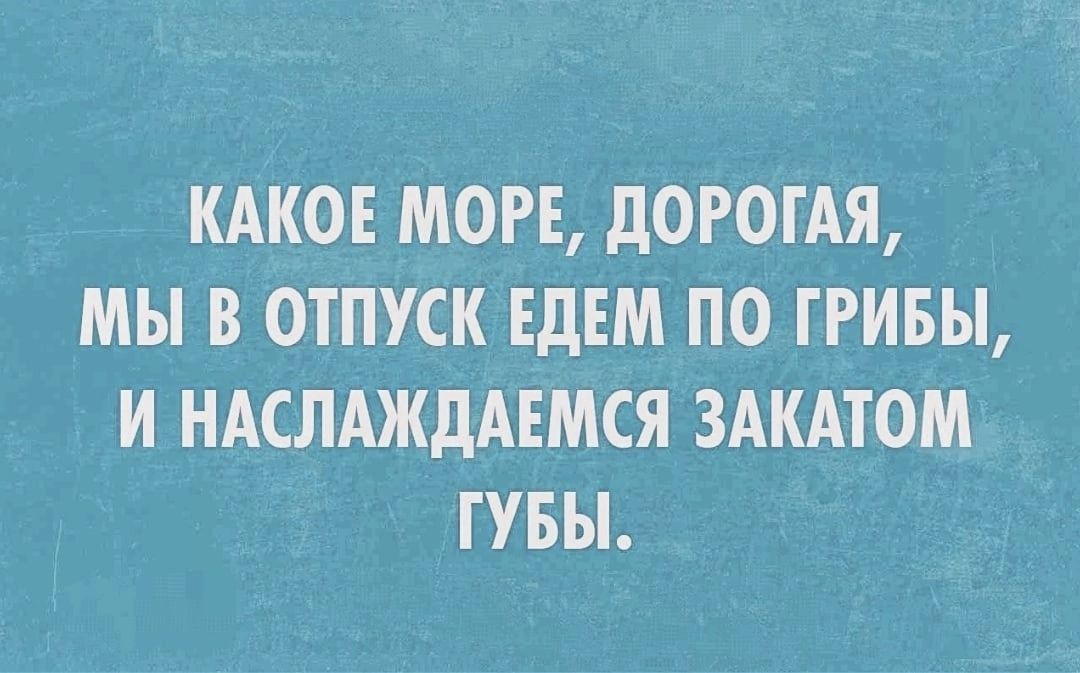 КАКОЕ МОРЕ дОРОГАЯ МЫ В ОТПУСК ЕДЕМ ПО ГРИБЫ И НАСЛАЖДАЕМСЯ ЗАКАТОМ ГУБЫ