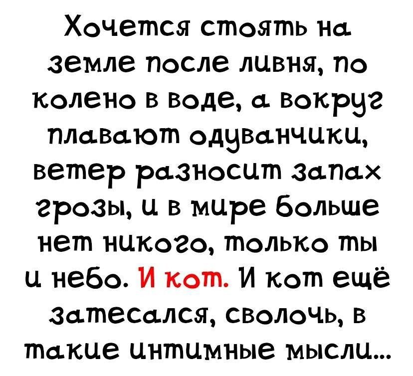 Хочется стоять на земле После ливня по КолеНо в Воде а Вокрчг плцвцют одввцнчцкц ветер разносит водах грозы и в мире Больше нет никого только ты и небо И кот И кот ещё ацтеСцлся сволочь в толще интимные мысли