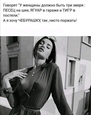 Говорят У женщины должно быть три зверя ПЕСЕЦ на шее ЯГУАР в гараже и ТИГР в постели А я хочу ЧЕБУРАШКУ так чисто поржать