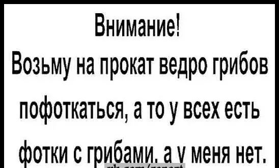 Внимание Возьму на прокат ведро грибов П0ф0ТКдТЬСЯ ато у всех есть _ ___ _____