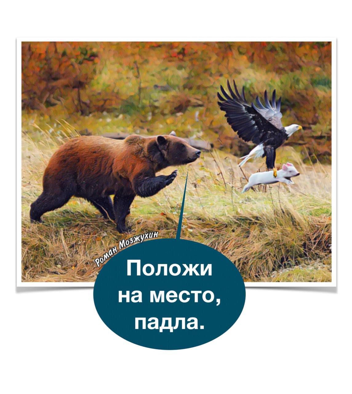 на место падла