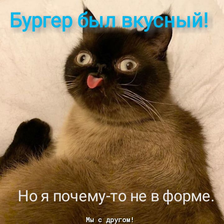 Но я почему то не в форме Кц с при