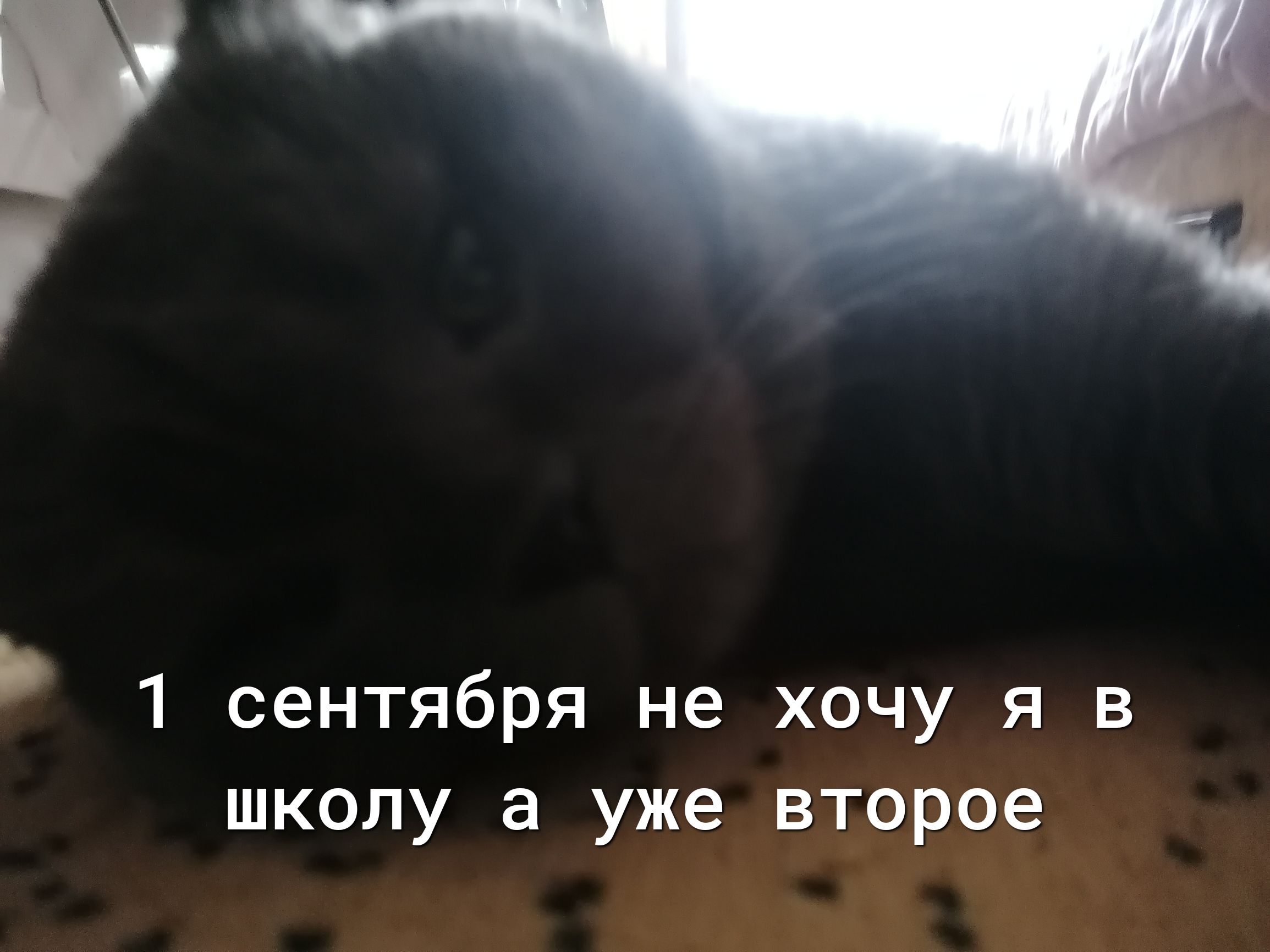 1 сентября не хочу я в школу а уже второе жд