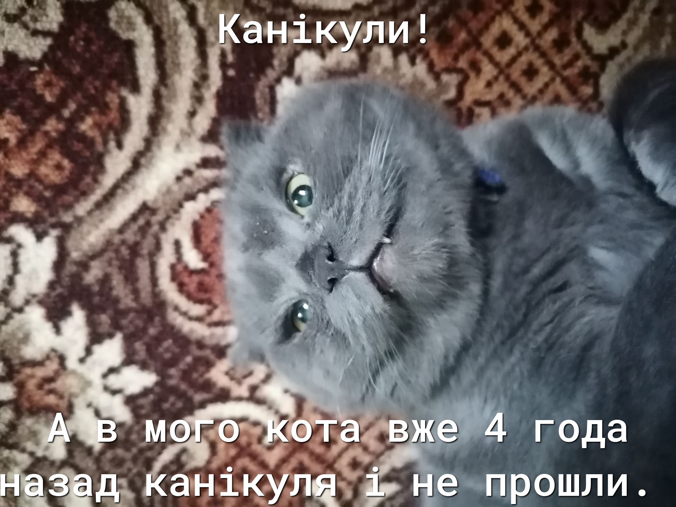 тмпрошли