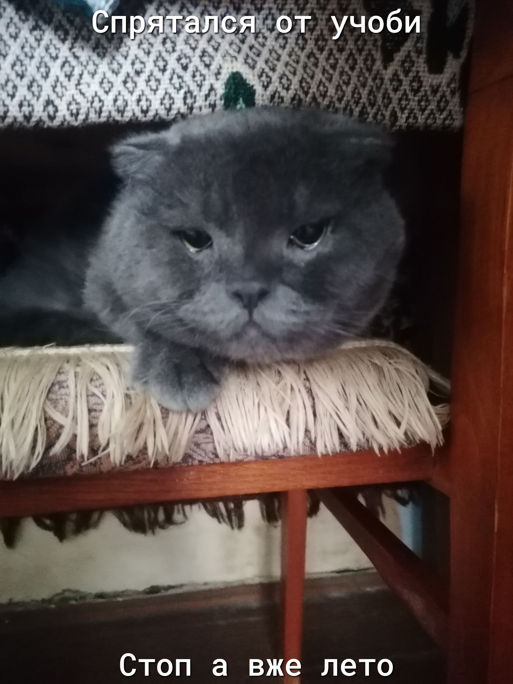 лето
