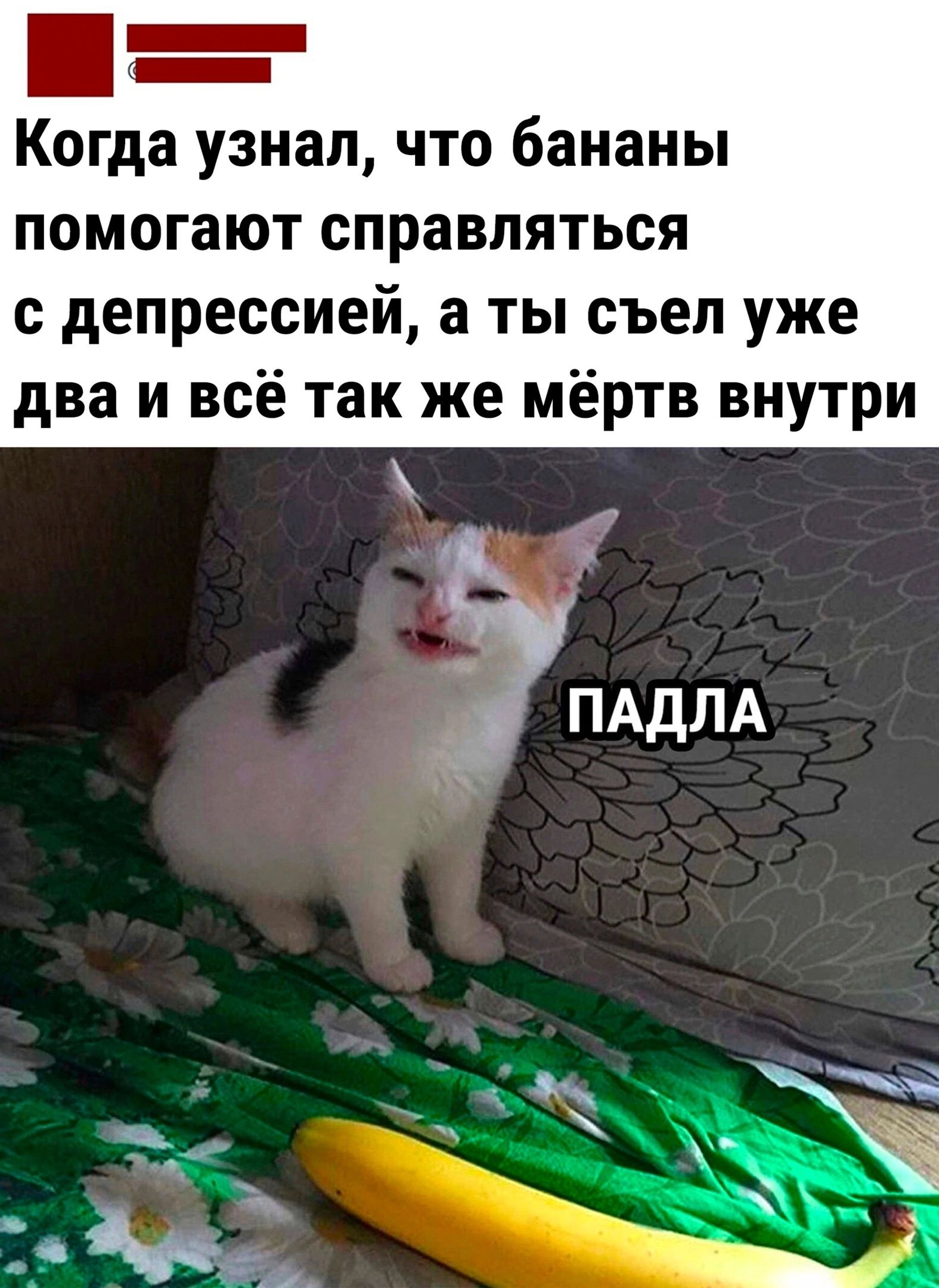 Когда узнал что бананы ПОМОГЗЮТ СПРЗВЛЯТЬСЯ с депрессией а ты съел уже два и всё так же мёртв внутри
