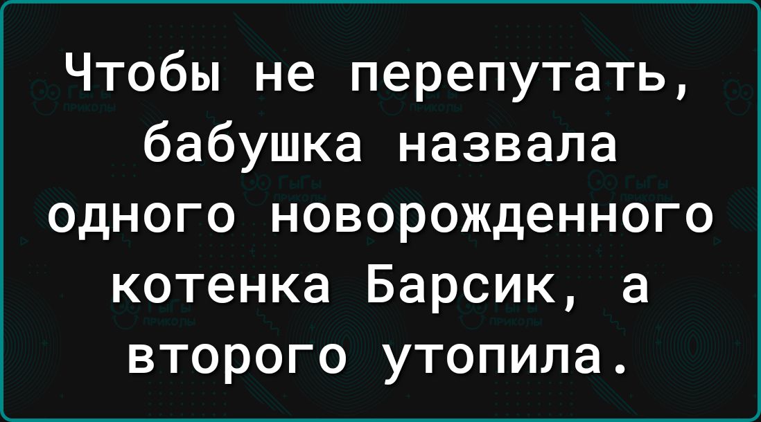 Чтобы не перепутать бабушка назвала одного новорожденного котенка Барсик а второго утопила