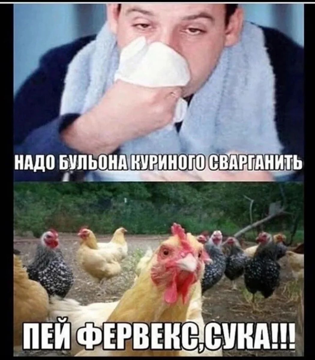 Надо бульона куриного сварганить
ПЕЙ ФЕРВЕКС, СУКА!!
