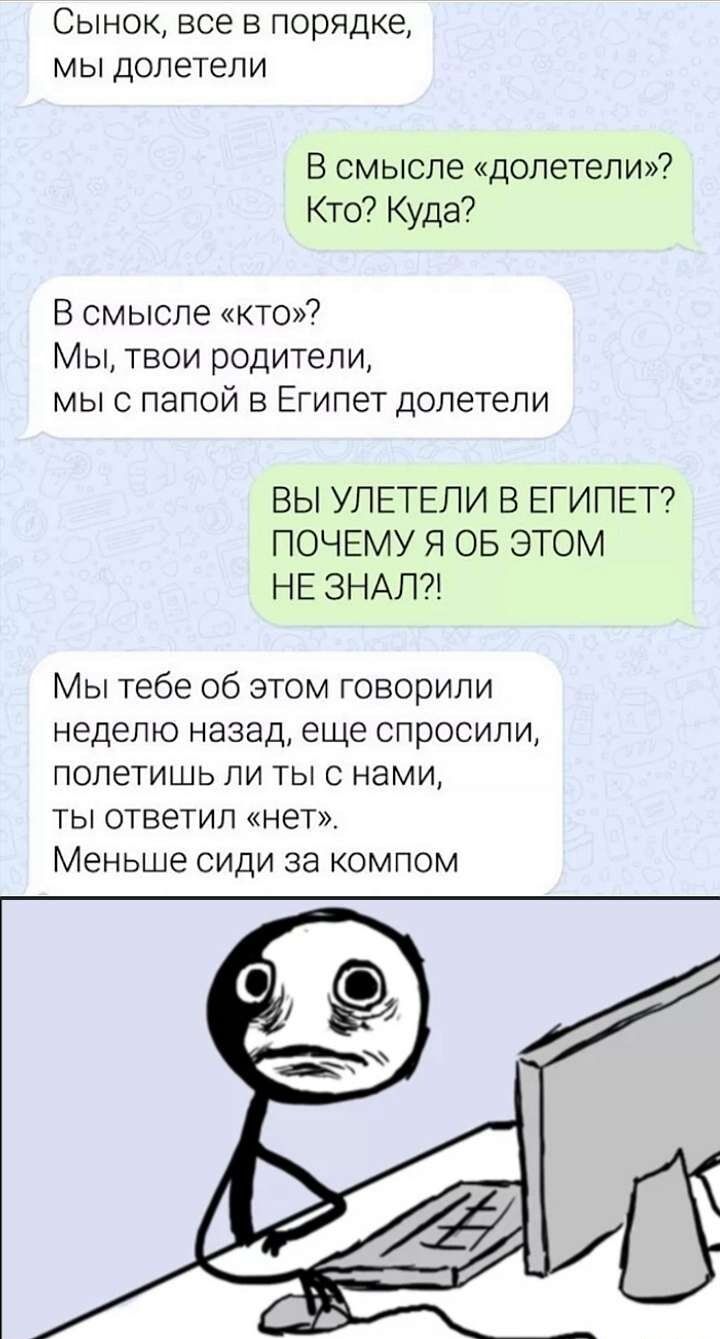 Сынок все в порядке мы долетели В смысле долетели Кто Куда В смысле кто Мы твои родители мыс папой в Египет долетели ВЫ УПЕТЕЛИ В ЕГИПЕТ ПОЧЕМУ Я ОБ ЭТОМ НЕ ЗНАЛ Мы тебе об этом говорили неделю назад еще спросили лолетишь ли тыс нами ты ответил нет Меньше сиди за компом