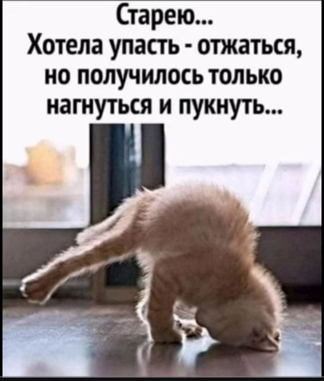 Старею Хотела упасть отжаться но получилось только нагнуться и пукнуть