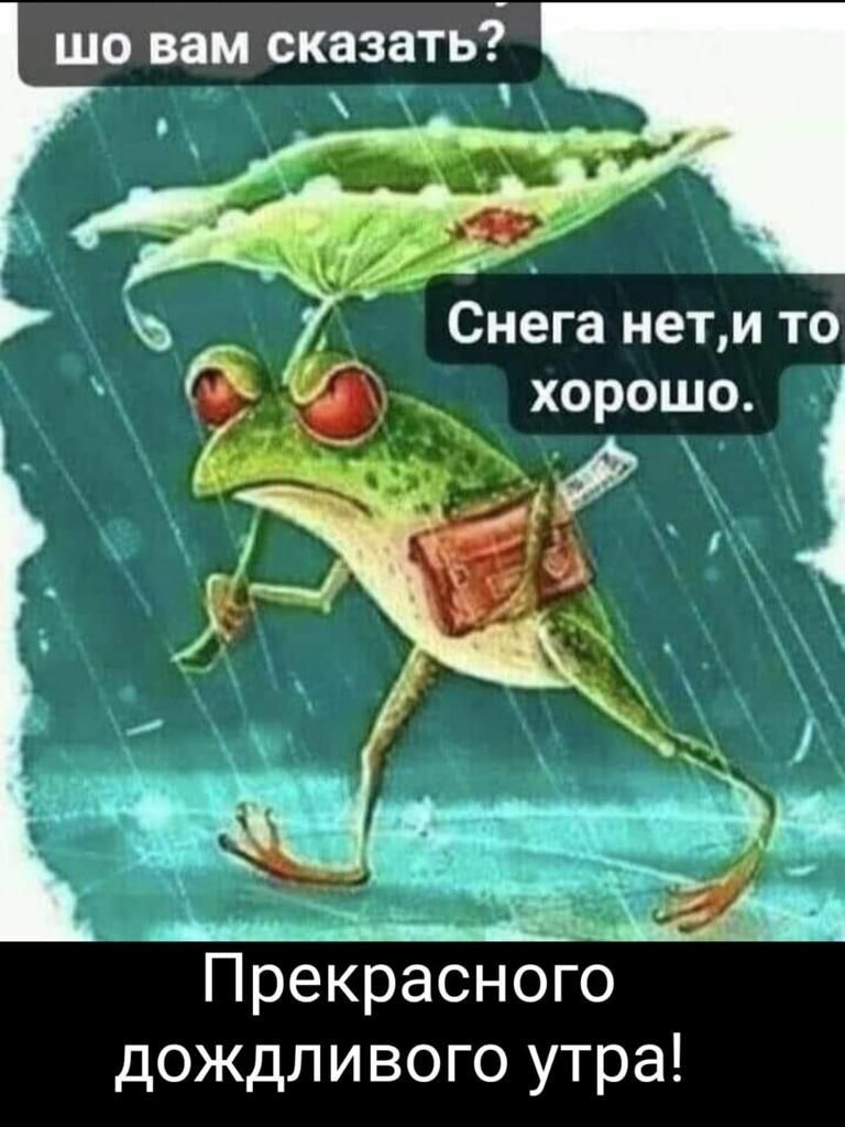 шо вам сказать Снега нети то хорошо Прекрасног дождливого утра