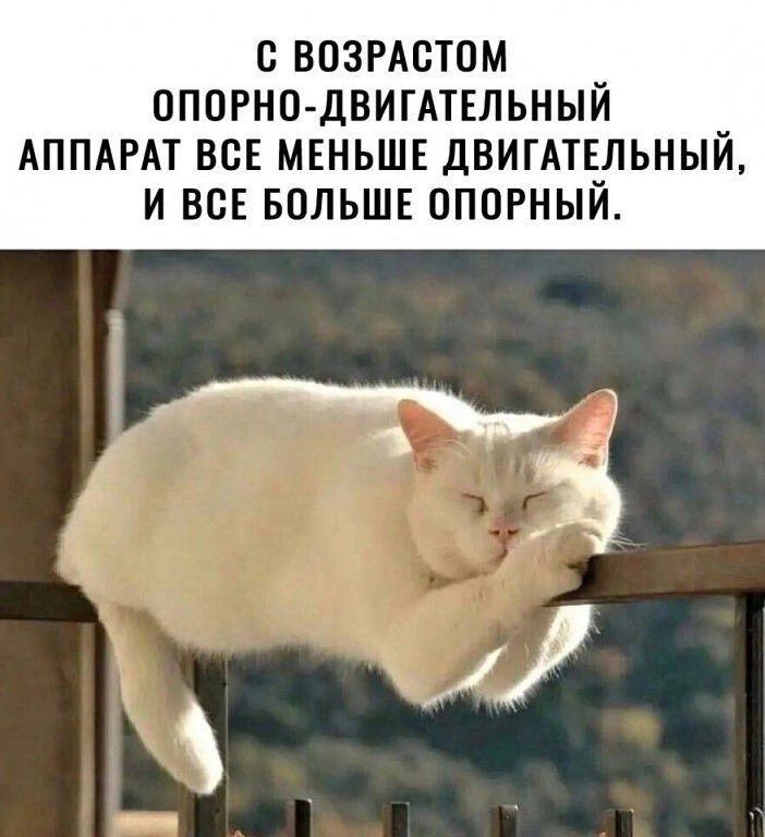 с визитом опорно двигшльный АППАРАТ вс мгньшв дБИГАТЕЛЬНЫЙ и все вольшв опорный