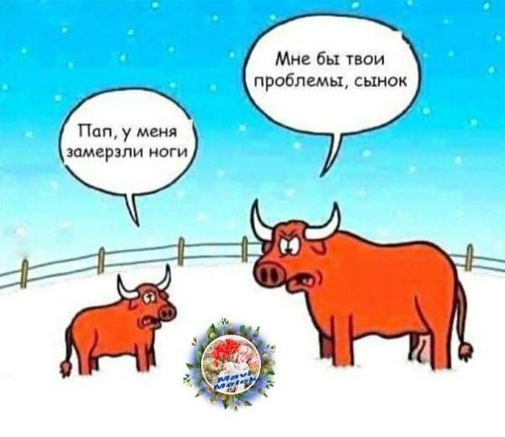 Ме бы пои проблемы п у впмсрши ноги