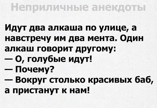 Идут два алкаша по улице а навстречу им два мента Один алкаш говорит другому 0 голубые идут Почему Вокруг столько красивых баб а пристанут к нам