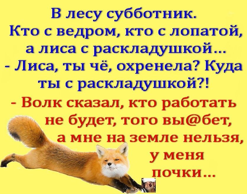 В лесу субботник Кто с ведром кто с лопатой а лиса с раскладушкой Лиса ты чё охренела Куда ты с раскладушкой Волк сказал кто работать не будет того выбет а мне на земле нельзя у меня почки А