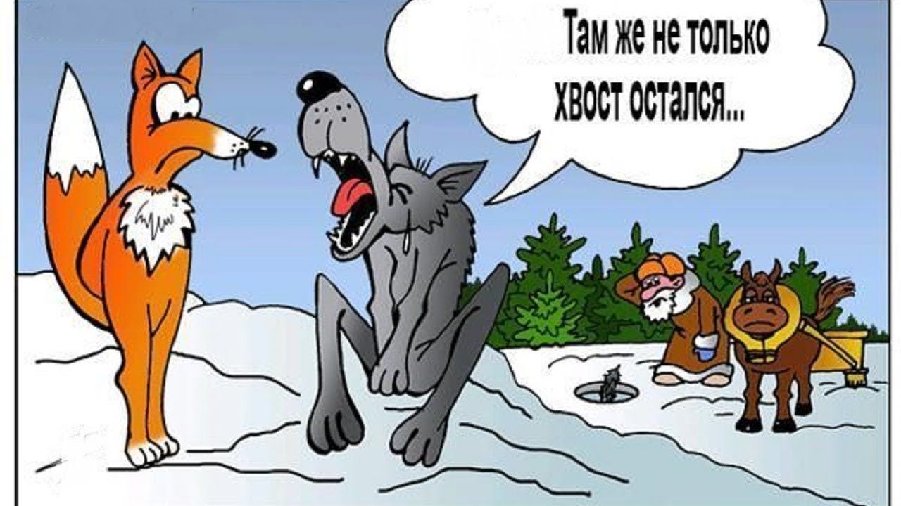 Тамженетопько хвостотпся а