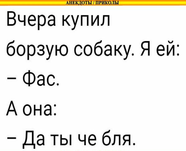 Вчера купил борзую собаку Я ей Фас А она Да ты че бля __