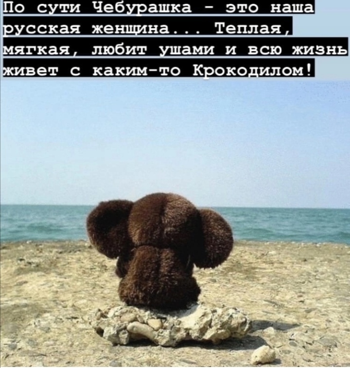 о с ти Чеб ашка это наша сская же на Теплая ягкая любит нами и всю жизнь вет какимто кпок0_илои