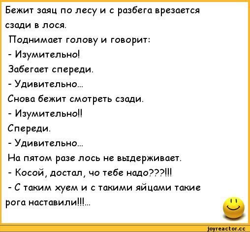 Бежит заяц па лесу и раэбиц презпнся сзади лося Поднимает голову и говорит Изумительнаі Забегцгт спереди Удивитгльна Сновц бежит смотреть сзади ИзумительнаЦ Спереди Удивительно На пятом раз лось не выдержите Кисой достал чо тебе надо с таким хуем и с такими яйцами такие цппвили