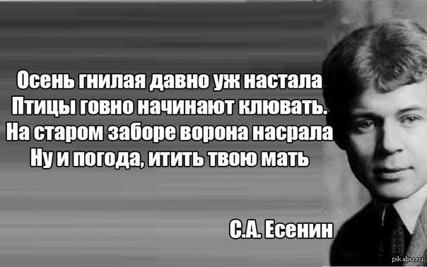 тишь гнилая давно уж настала Птицы ювио начинают итить На ставим запои впиши павиана