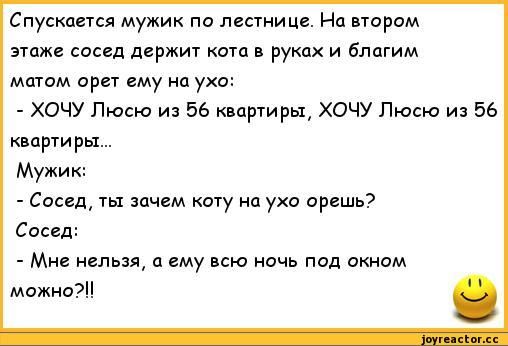 Спустшся мужик по лестнице На парам этаж сосед держит кота руках и благим матом орет ему на ухо ХОЧУ Пюсю из 56 квартиры ХОЧУ Пюсю из 56 квартиры Мужик Сосед ты зпчцм коту на ухо врешь Сосед Мне нельзя а ему шо ночь под окним можно