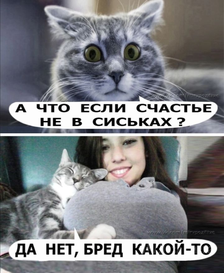 А ЧТО ЕСЛ НЕ В СИСЬКАХ _ _ дА НЕТ БРЕд КАКОЙ ТО