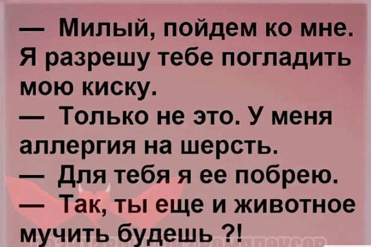 Милый пойдем ко мне Я разрешу тебе погладить мою киску Только не это У меня аллергия на шерсть для тебя я ее побрею Так ты еще и животное мучить будешь