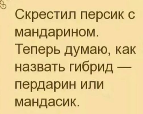 Скрестил персик с мандарином Теперь думаю как назвать гибрид пердарин или мандасик