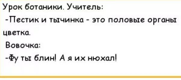 Урок Ботаники Учитель Пстии и тычинки это половые органы читка Вавочк Фу ть блині А я их мюхал