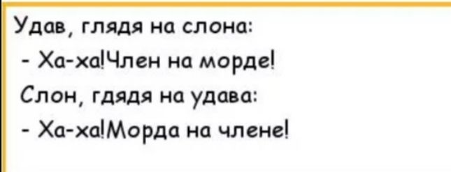 Уди глядя на слона Ха хаЧлен на морде Слон гдяля на удап Ха хаМорда на член